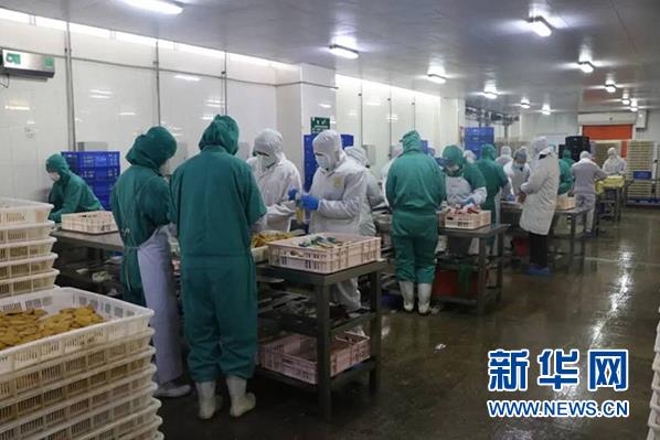 ����ʱ����(�й�)�������ǲ�!