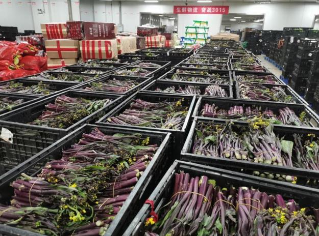 ����ʱ����(�й�)�������ǲ�!