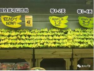 ����ʱ����(�й�)�������ǲ�!