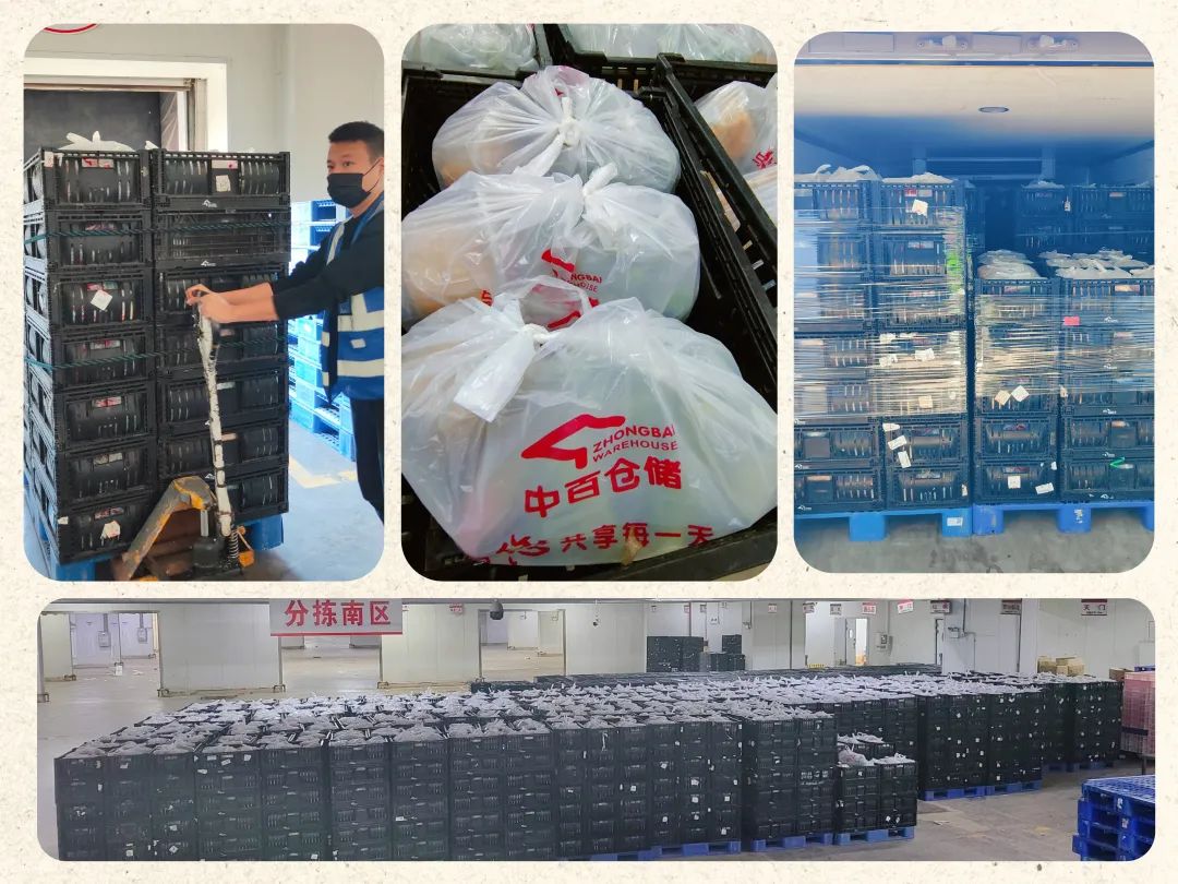 尊龙时凯·(中国)人生就是搏!