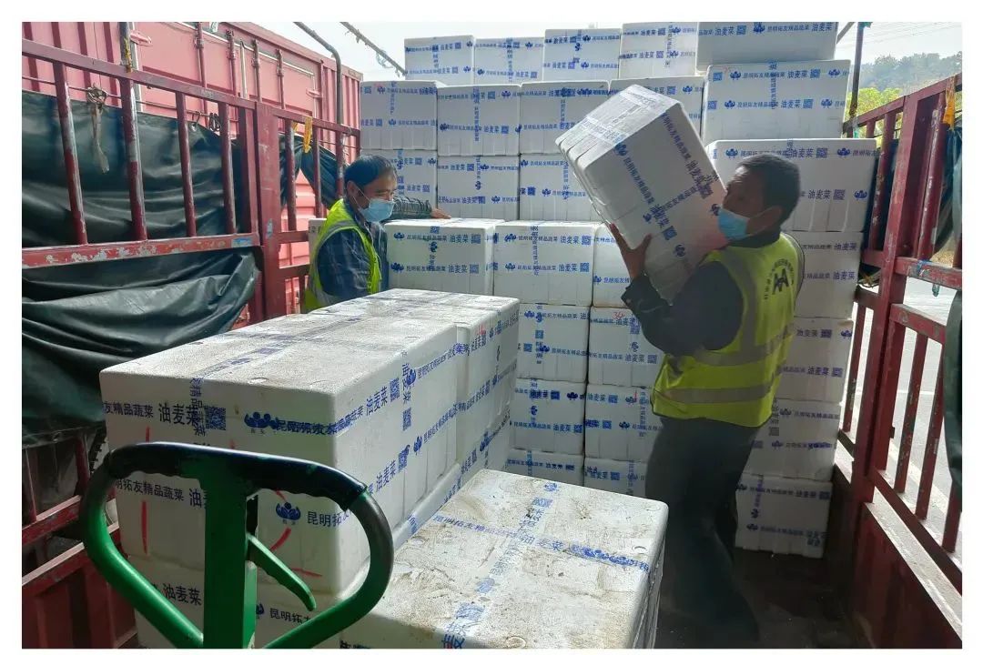 尊龙时凯·(中国)人生就是搏!