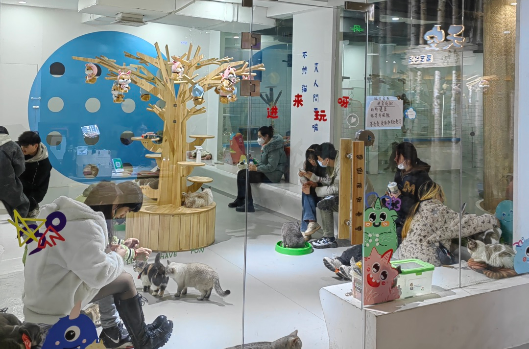 尊龙时凯·(中国)人生就是搏!