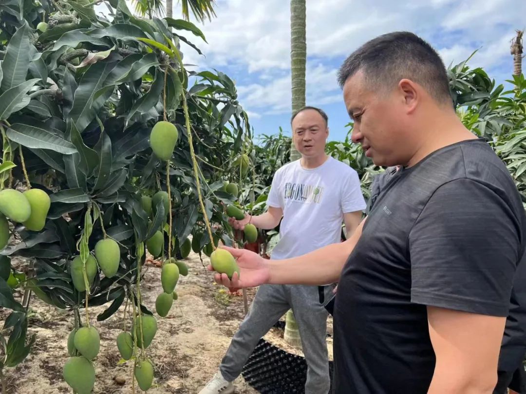 ����ʱ����(�й�)�������ǲ�!