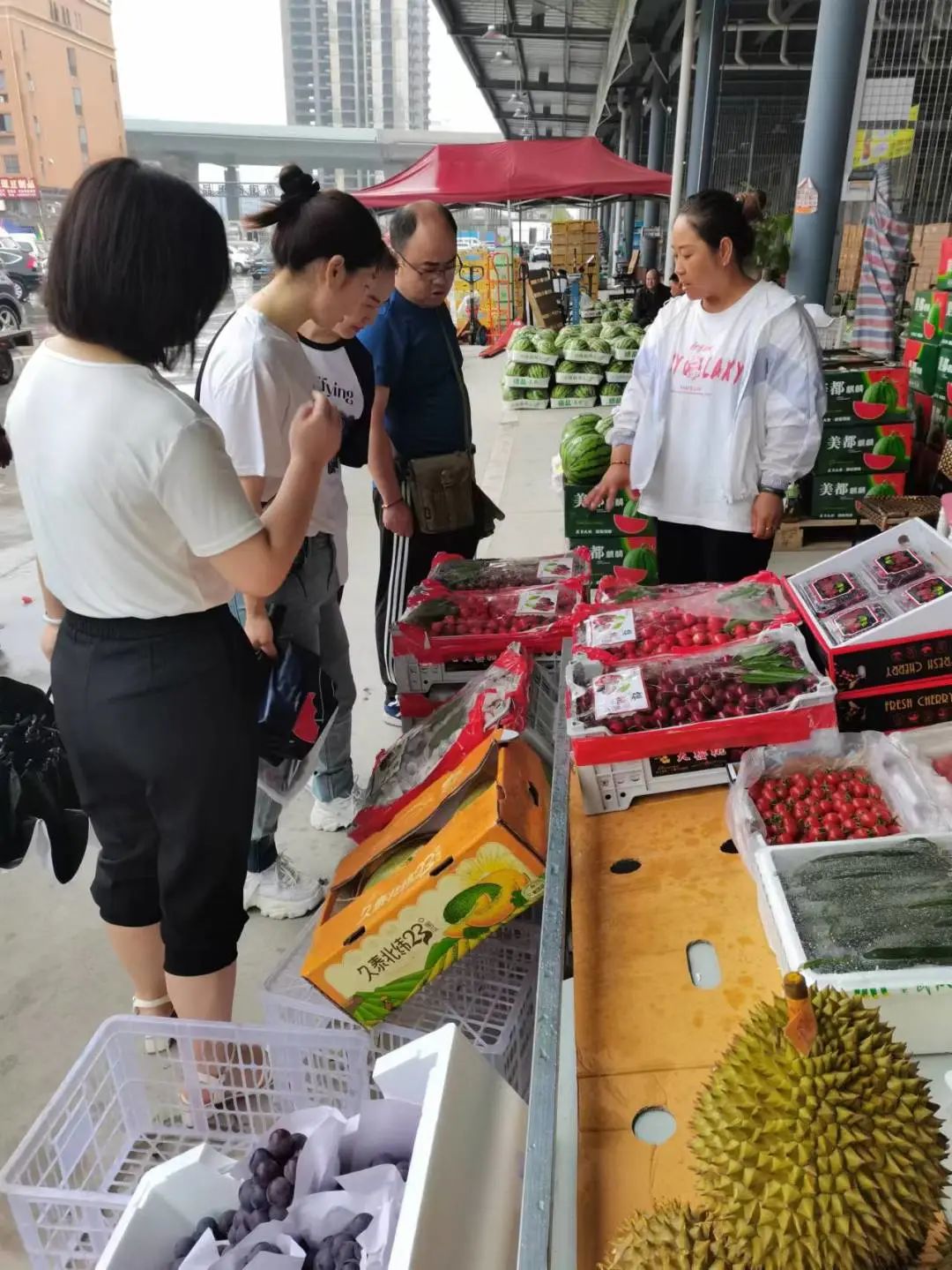 尊龙时凯·(中国)人生就是搏!