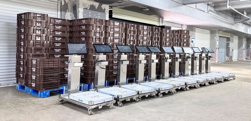 ����ʱ����(�й�)�������ǲ�!