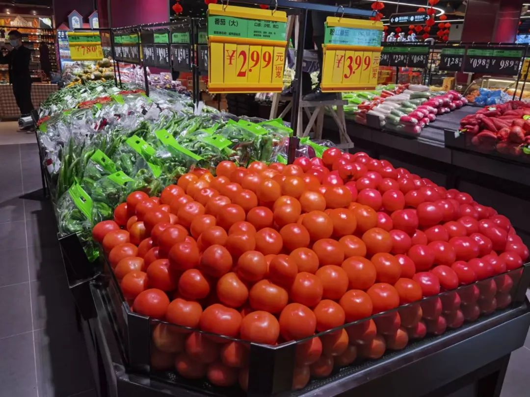 尊龙时凯·(中国)人生就是搏!