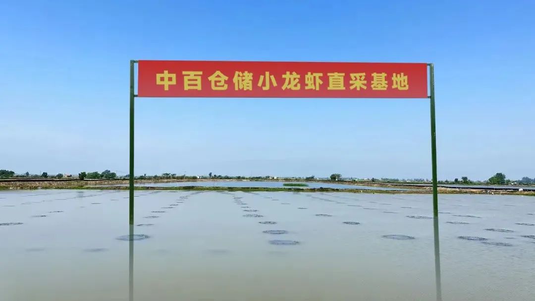 ����ʱ����(�й�)�������ǲ�!