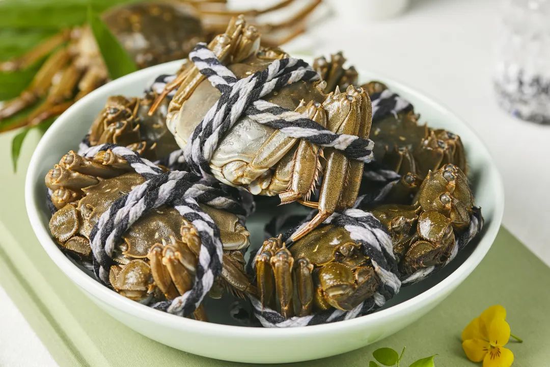 尊龙时凯·(中国)人生就是搏!