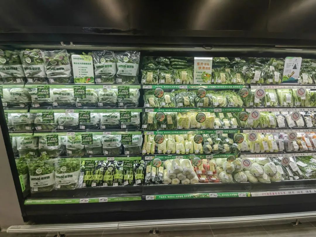 尊龙时凯·(中国)人生就是搏!